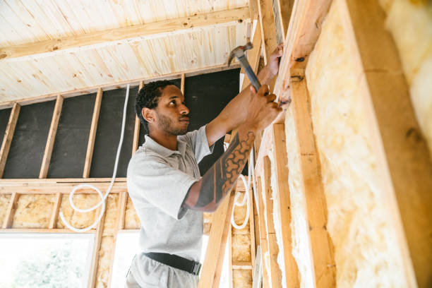 Insulation Air Sealing in Constantine, MI