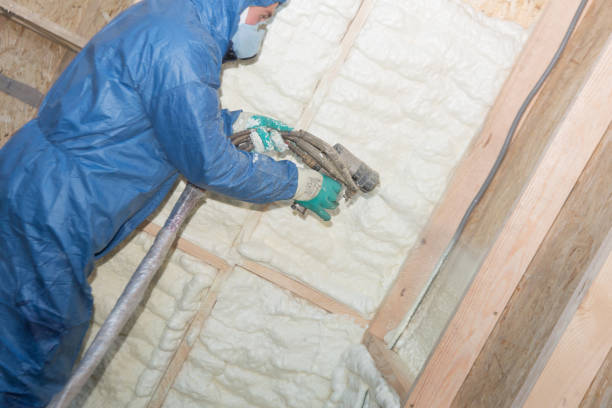 Best Wall Insulation Installation  in Constantine, MI